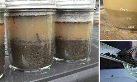 DIY – Mason Jar Soil Test