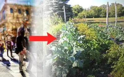 Urbanites Moving To Rural Paradise Ruining It For The Locals