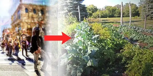 Urbanites Moving To Rural Paradise Ruining It For The Locals