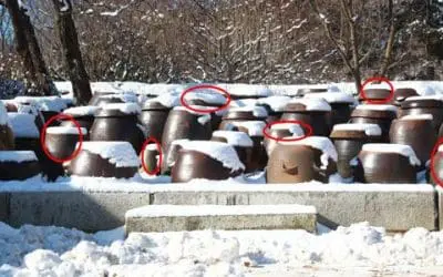 What Foods Can You Bury Underground For Winter?