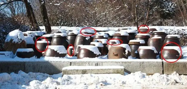 What Foods Can You Bury Underground For Winter?