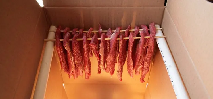 The 10-Dollar Jerky Maker