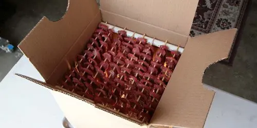 The 10-Dollar Jerky Maker