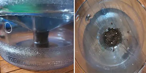 How To Make A Self-Watering Planter From A Water Bottle - step 6