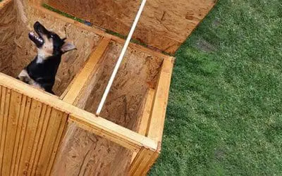 Easy DIY Winter Doghouse