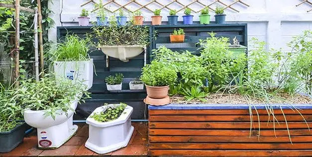 How To Homestead In The City