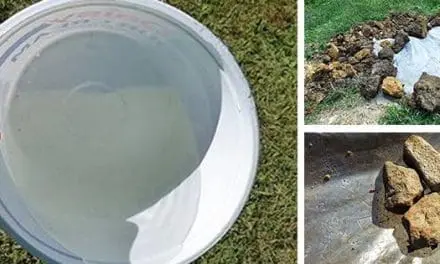 How to Build a Water Purification System in 10 Minutes