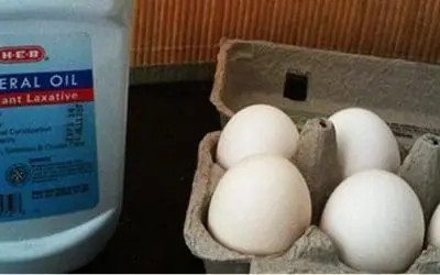 How to Keep Eggs Fresh for Months with Mineral Oil