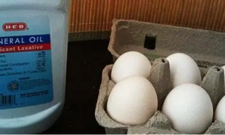 How to Keep Eggs Fresh for Months with Mineral Oil