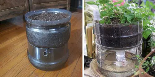 How To Make A Self-Watering Planter From A Water Bottle - final product