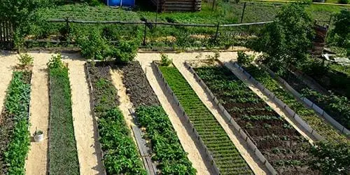 proper crop arrangement 