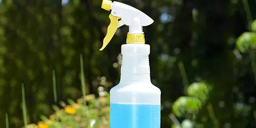 chemical-free bug spray