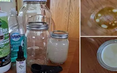 How To Make A Safe and Effective Organic Garden Pest Control Spray