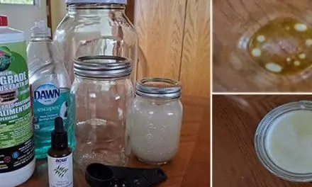 How To Make A Safe and Effective Organic Garden Pest Control Spray