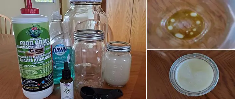 How To Make A Safe and Effective Organic Garden Pest Control Spray