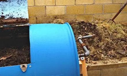 The Ultimate Guide To Composting