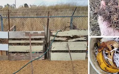 Boost Your Soil Quality With This Compost