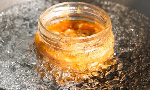 The Lazy Man's Tricks and Tips To Homesteading