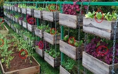 The Best Vegetables To Grow To Turn A Profit