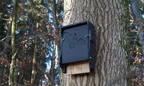 8 easy projects you shouldn't miss from your backyard