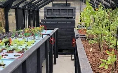 DIY Year Round Self-Sustaining Garden