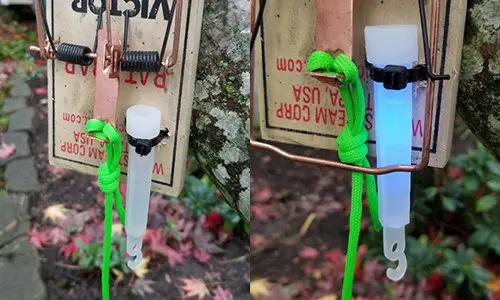 The Best DIY Traps Against Property Intruders