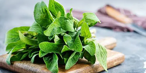 10 Cooking Herbs You Should Grow In Your Garden - sage