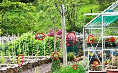 10 Cooking Herbs You Should Grow In Your Garden