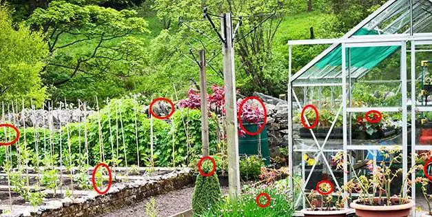 10 Cooking Herbs You Should Grow In Your Garden