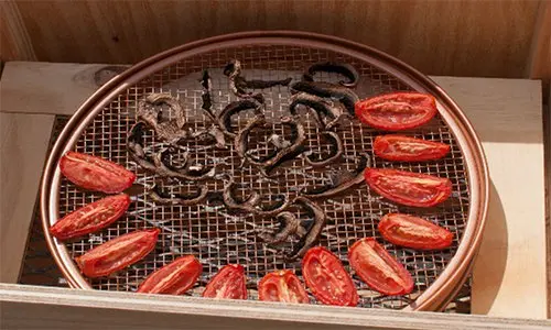 DIY Solar Dehydrator