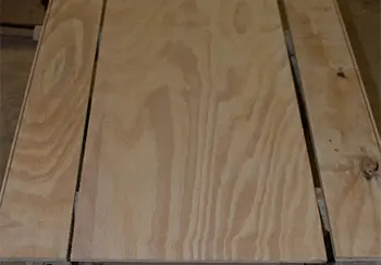 DIY Solar Dehydrator