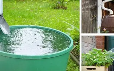 Is It Legal To Harvest Rainwater In Your State?
