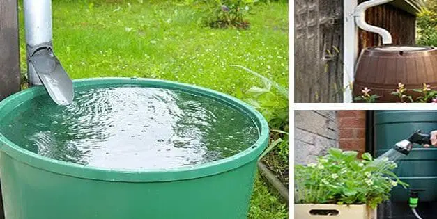 Is It Legal To Harvest Rainwater In Your State?