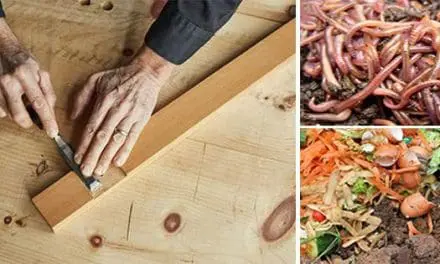 10 Easy Ways to Turn Profit from Your Homestead