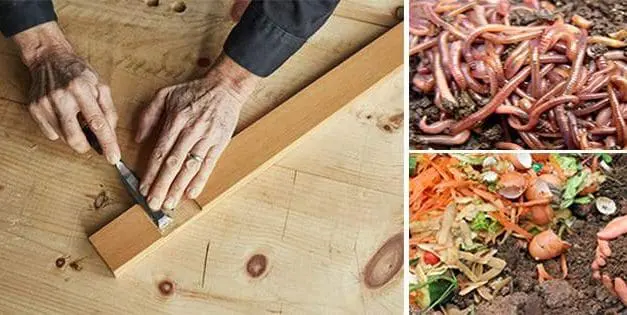 10 Easy Ways to Turn Profit from Your Homestead