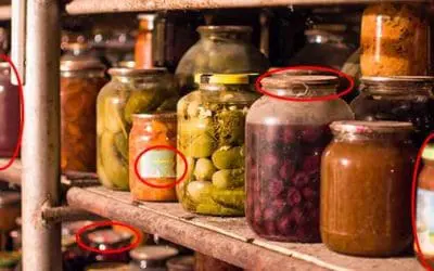 11 Food Storage Myths