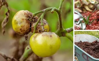 15 Gardening Mistakes You’re Making Right Now