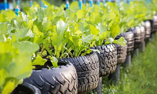 old tire flower pots