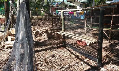 How to Build a Chicken Coop Step 8