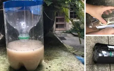 DIY Cheap Mosquito Trap