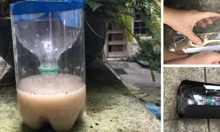 DIY Cheap Mosquito Trap