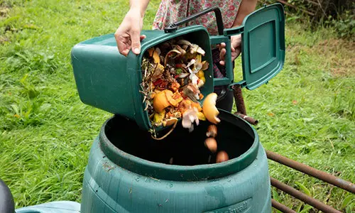 9 ways to reduce your waste