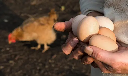 9 ways to reduce your waste