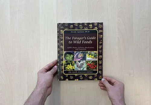 Forager’s Guide To Wild Foods hardcover front view