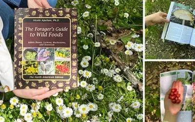 The Forager’s Guide To Wild Foods: Book Review