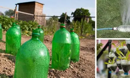 Ingenious Ways To Recycle Plastic Bottles