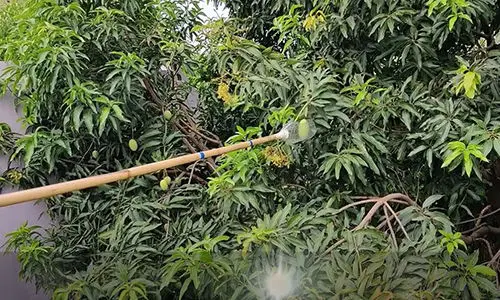 ingenious plastic bottles