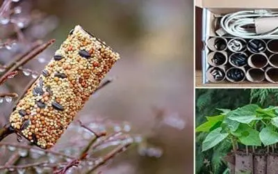 Ingenious Ways To Use Toilet Paper Rolls That You Never Thought Of