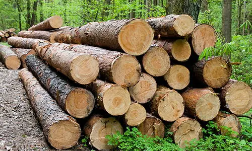 mistakes new land owners make