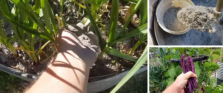 What Happens If You Ash Your Garden